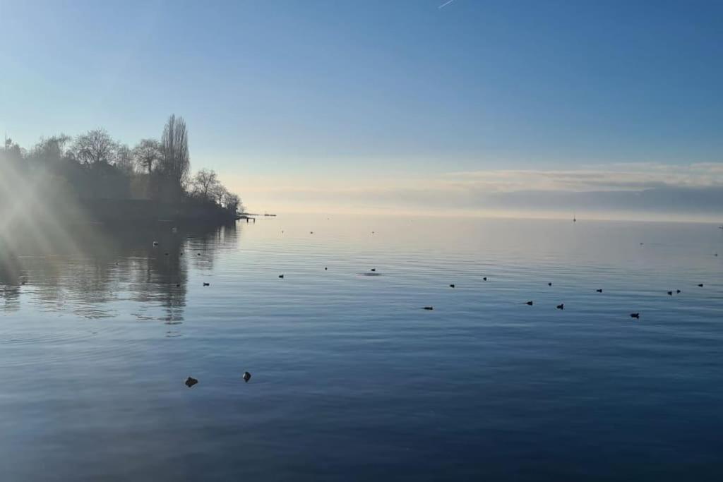 La Grande Mouette Daire Thonon-les-Bains Dış mekan fotoğraf